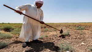 کمبود آب و عدم پرداخت مطالبات کشاورزان؛ دو عامل تهدیدکننده بخش کشاورزی عراق