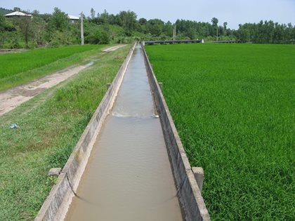 صرفه‌جویی 80 درصد کشاورزان گیلانی در مصرف بهینه آب